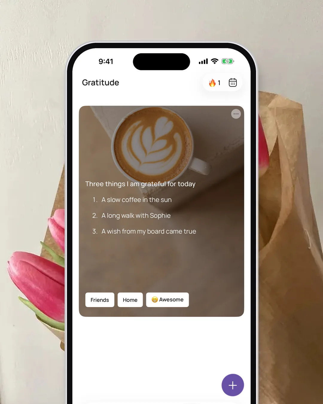 VISIYA's gratitude journal on iPhone: an entry with a photo, listing three things to be grateful for today, with a mood and tags
