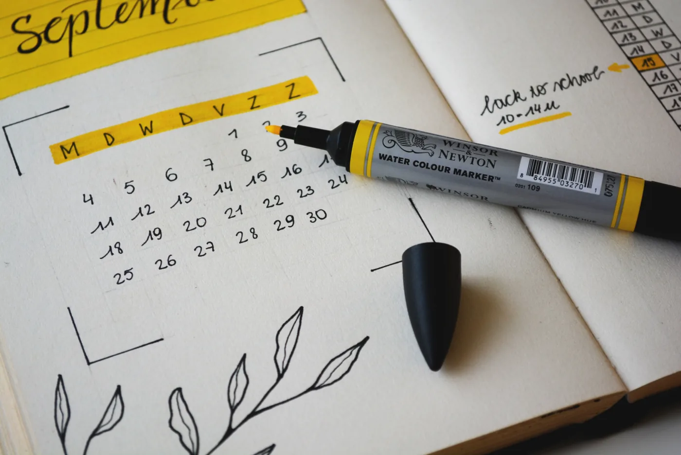 Browse the calendar view — VISIYA gratitude journal app