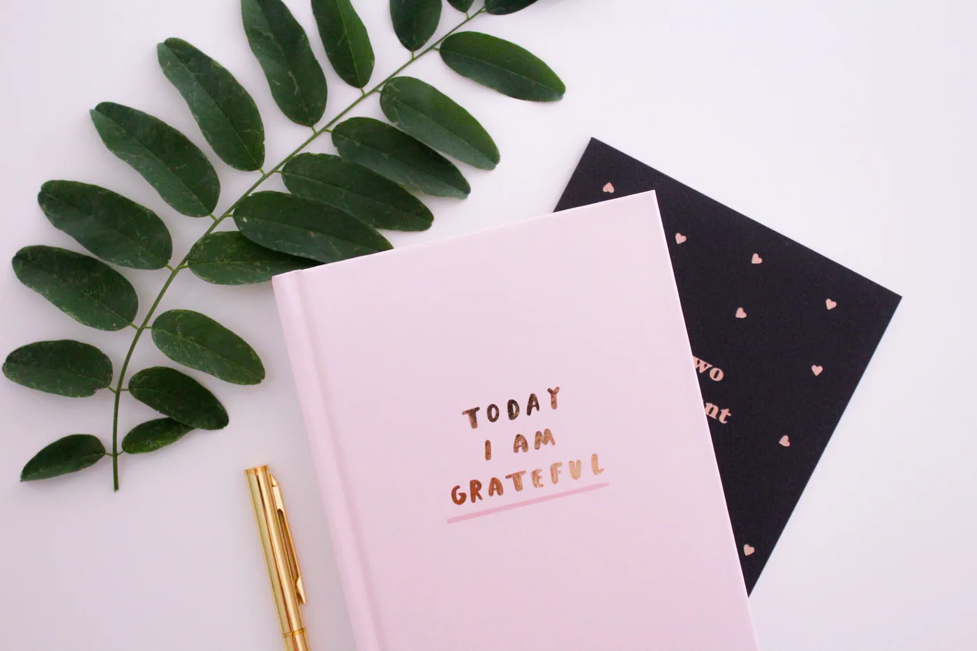 Create quick daily entries — VISIYA gratitude journal app