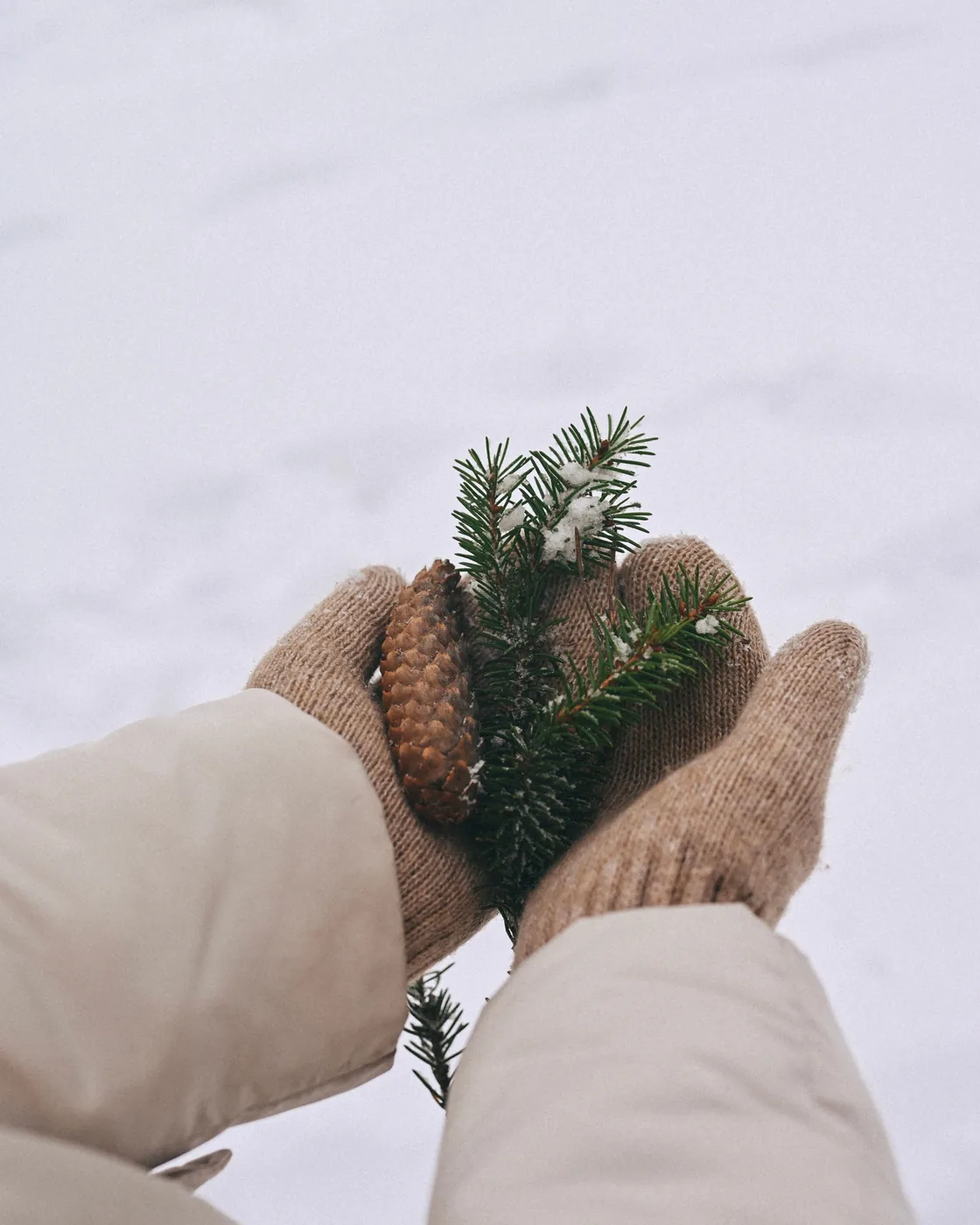 A hand holding a pine cone against a snowy winter landscape