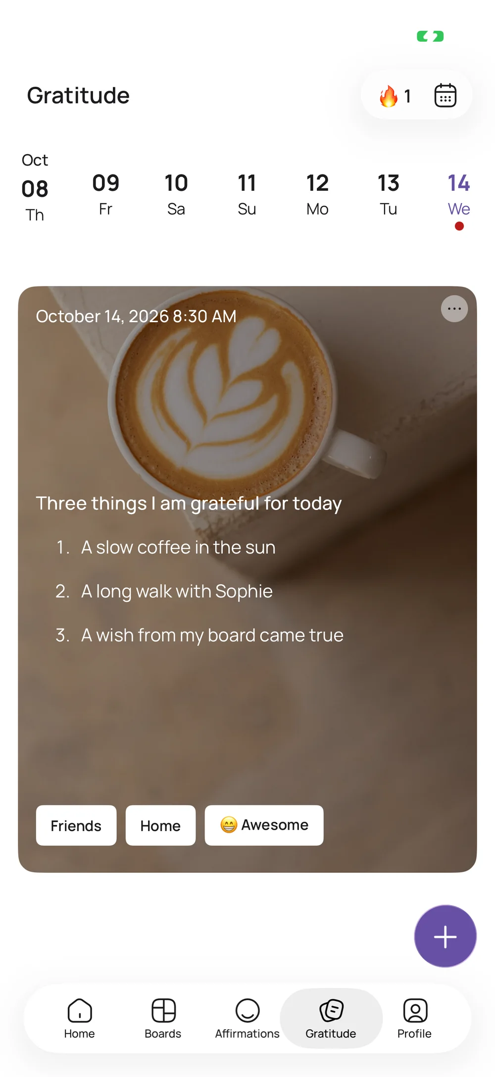 VISIYA on iPhone: an entry in the gratitude journal