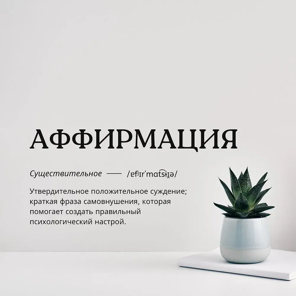 Словарное определение слова 'АФФИРМАЦИЯ' рядом с суккулентом в горшке на белом фоне