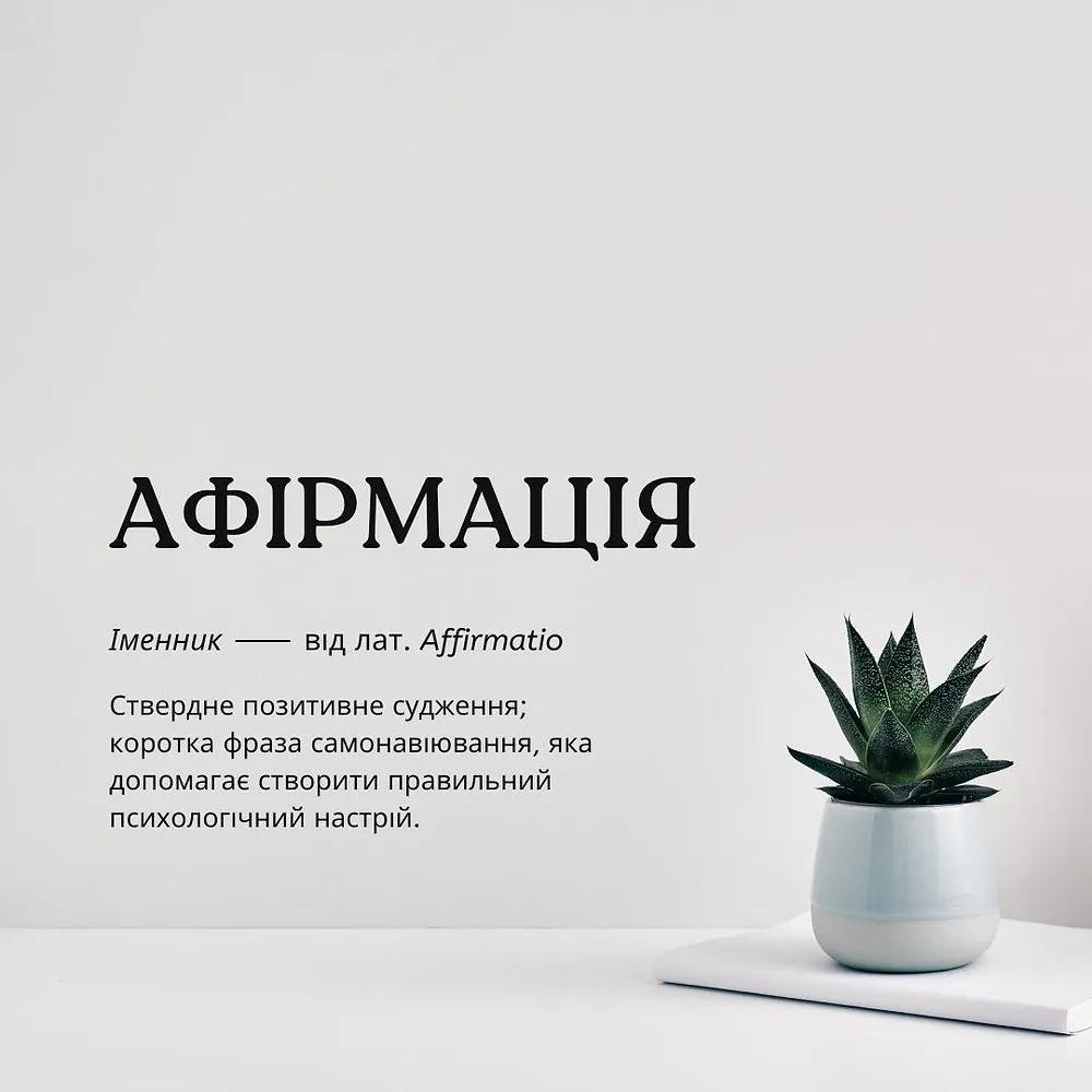 Словникове визначення слова 'АФІРМАЦІЯ' поруч із сукулентом у горщику на білому тлі