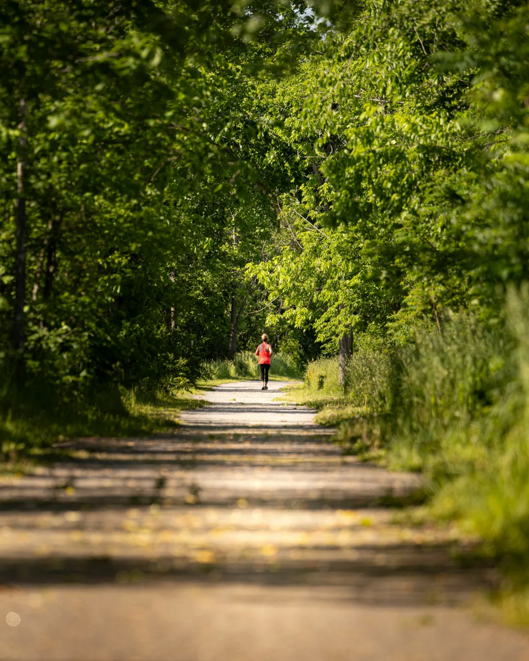 Ein schattiger grüner Waldweg, weit hinten läuft jemand allein, von hinten zu sehen