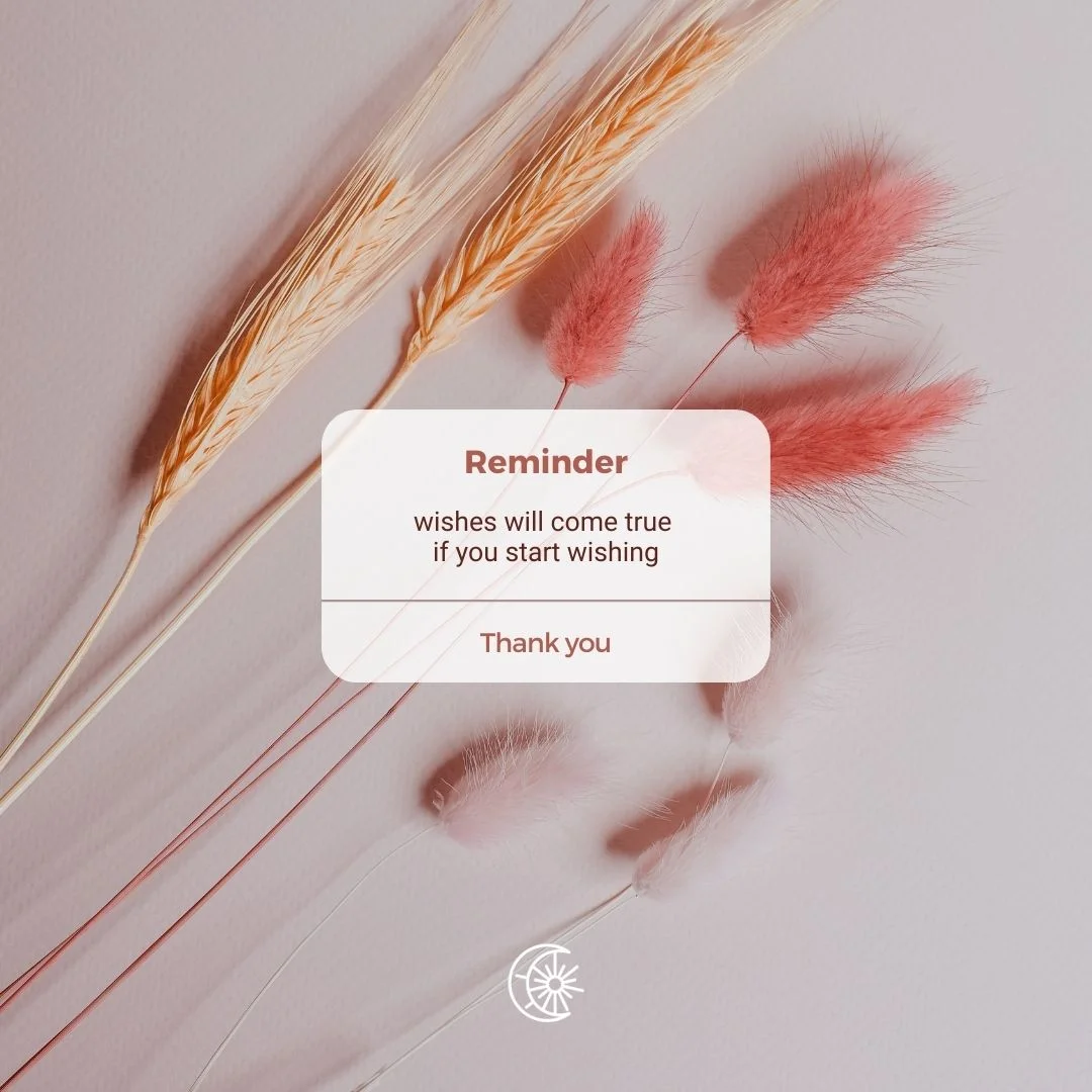 A pastel reminder card reading "wishes will come true if you start wishing" resting on dried grasses